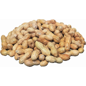 Deer Raw Peanut 1.6KG