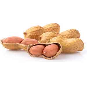 Peanut 1.72KG