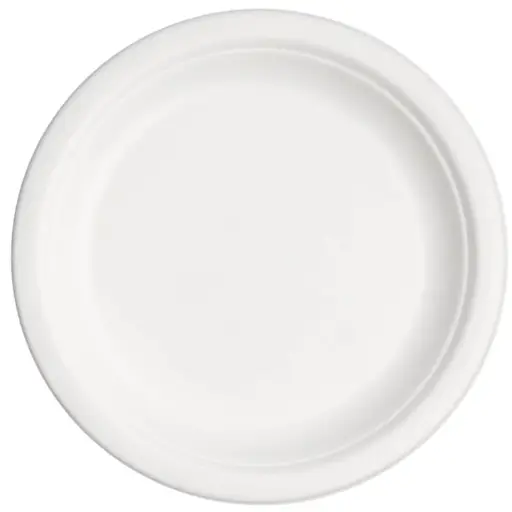 Dine Away 9 Inch Dinner Plate - 50 CT