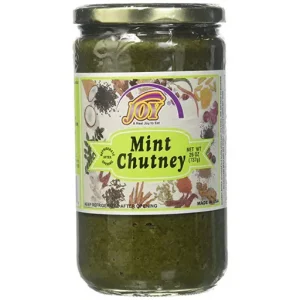 Joy Mint Chutney 737GM