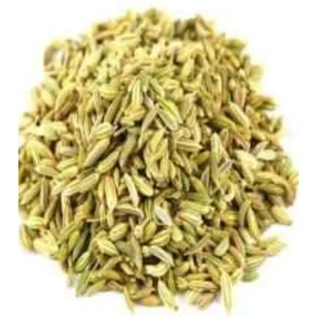 Shudh Fennel Seed 200GM